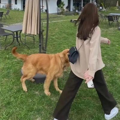 犹豫不决的时刻